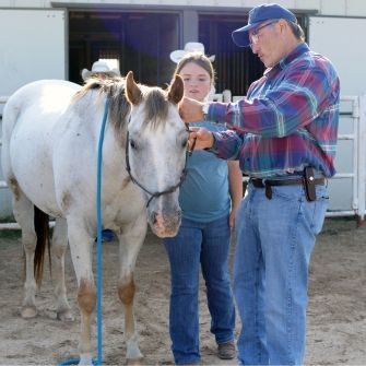 woman showing man how to handle a horse
