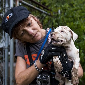 a dirty puppy being rescued from a dog fighting ring