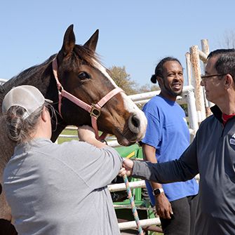 ETAC event volunteers with a horse