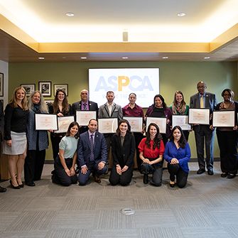 Heroes in Human Service