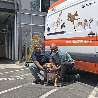 Kodak with Maxwell and Lloyd