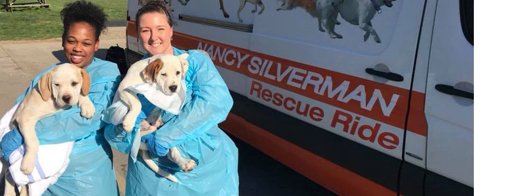 Nancy Silverman Rescue Rides