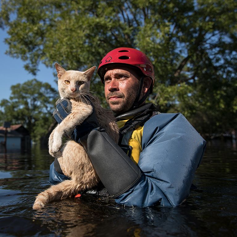 a responder carrying a cat through chest high water
