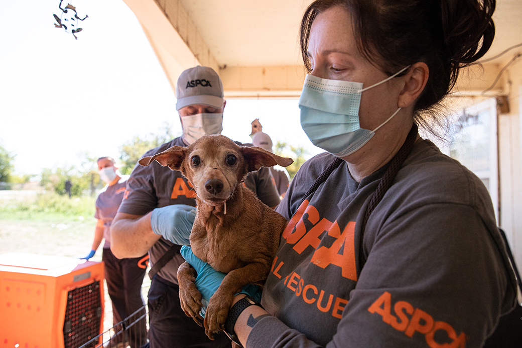 ASPCA responder carrying rescued dog