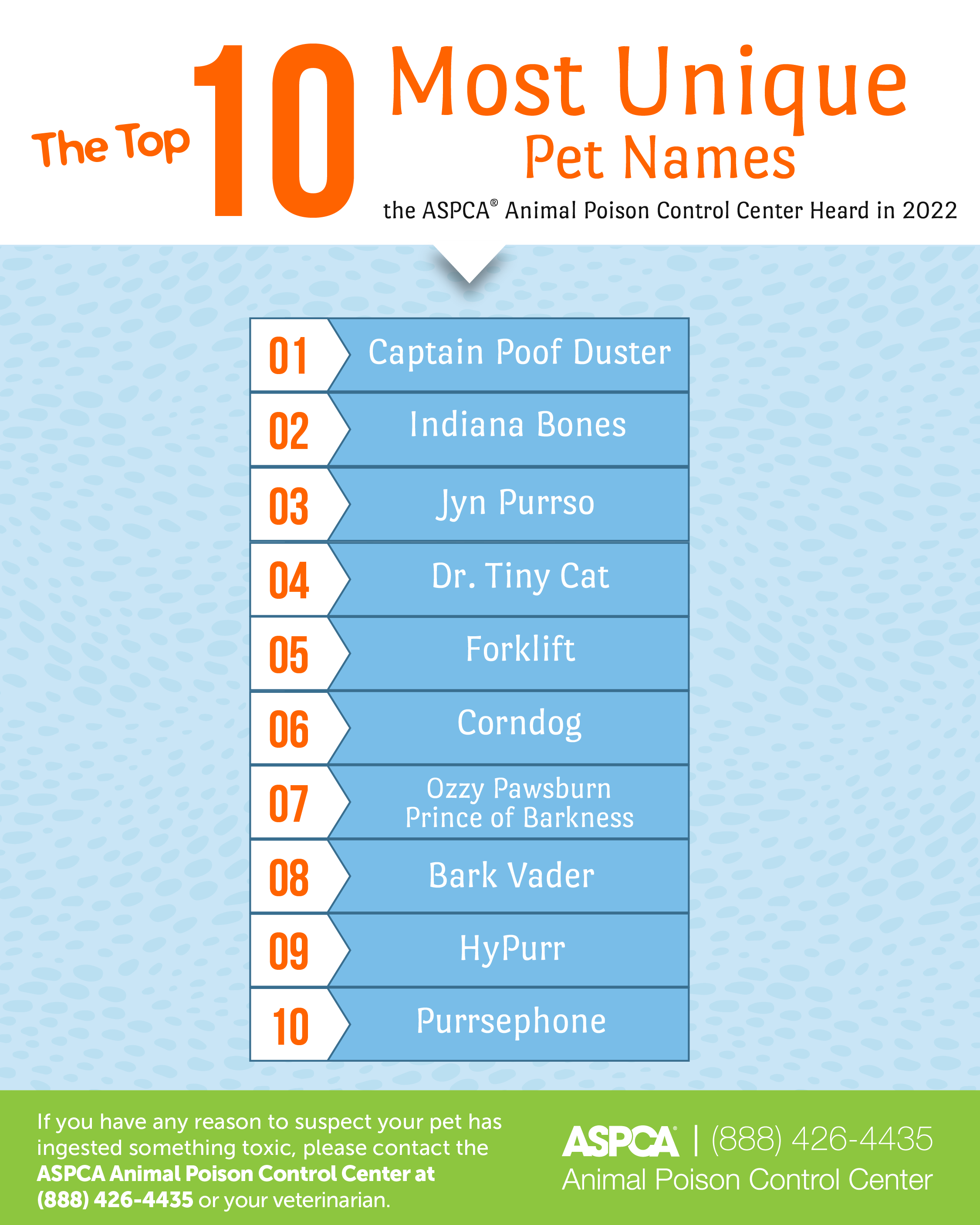 The Top 10 Most Unique Pet Names Of 2022 ASPCA