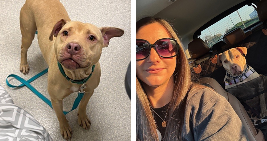 From left: Apricot just after arriving at Rescue Village; with Andrea on the way home.