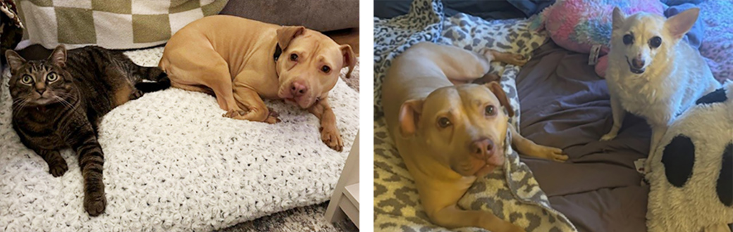 From left: Rambo hit it off with Gemma immediately, as did Roxy.