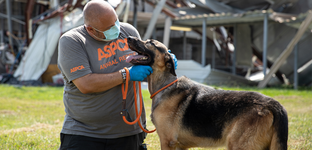 Man rescuing dog