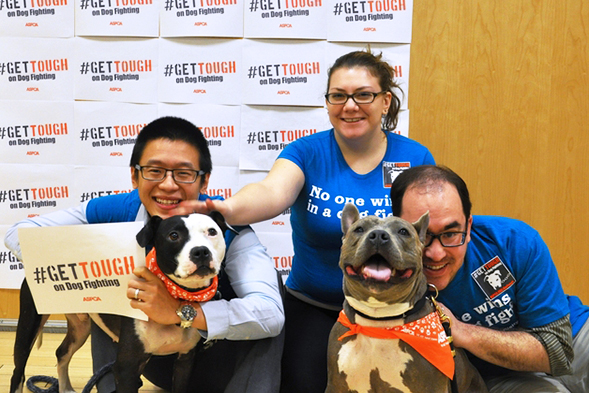 We're Celebrating National Dog Fighting Awareness Day—and You Can, Too!